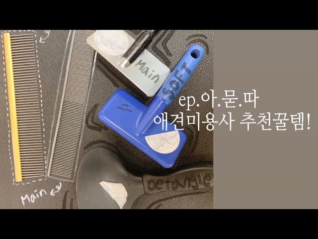 ep.인생 슬리커 그리고 콤 대.공.개.