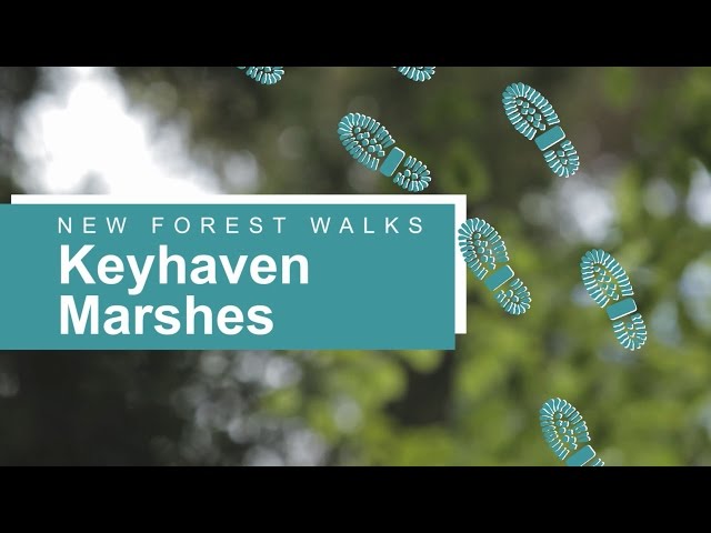 New Forest walks: Keyhaven Marshes