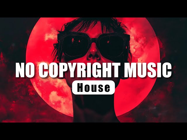 Flicker And Flow | House | No Copyright Music