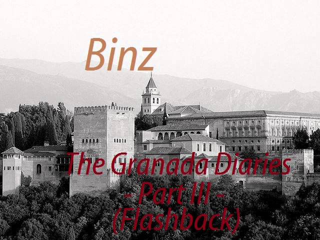 Binz - The Granada Diaries, Part III: Flashback (Drum and Bass)