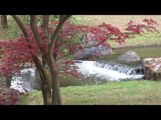 Japanse Tuin Hasselt