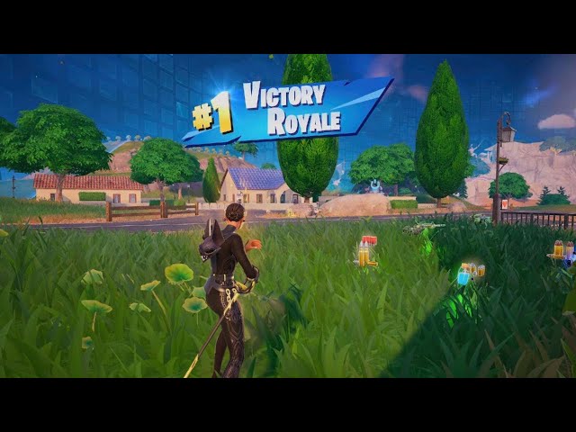 Fortnite season 5 chapter 2 victory royale