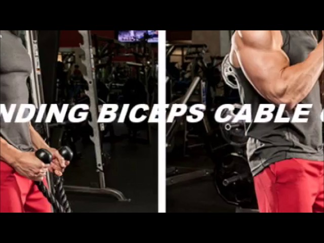 Top 5 Bicep Workout Must Watch