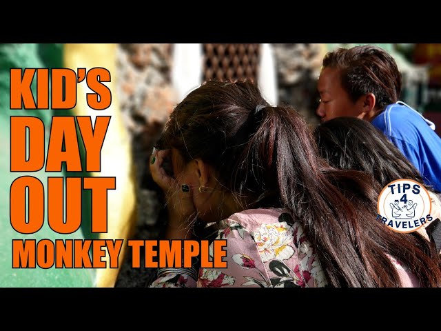 What to do in Kathmandu with Children? People Watching at Monkey Temple -Swayambhunath 360 4K walk