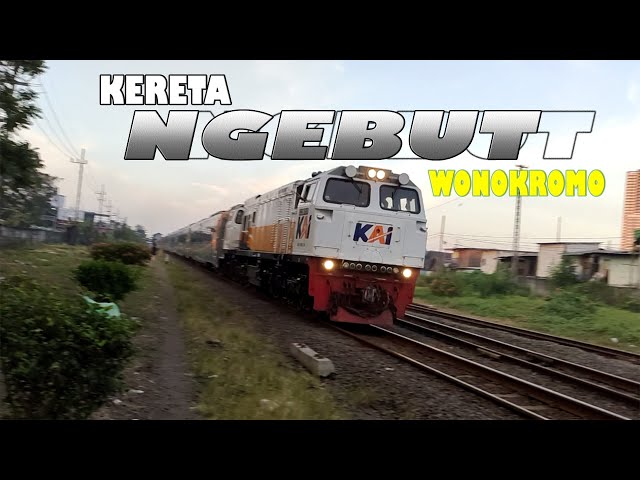 NGEBUT PARAH!!! | Hunting di JPL 1  Wonokromo Surabaya