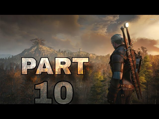 The witcher 3 gameplay walkthrough part 10 (full game)