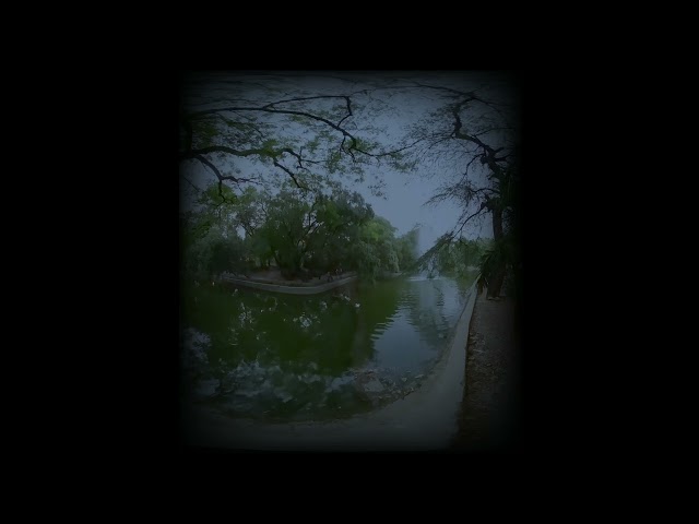 Lodhi Garden Evening Visit