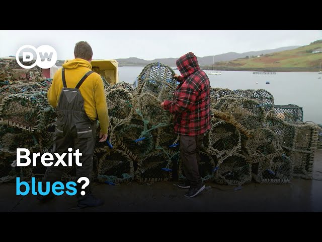 How is Scotland faring after Brexit? | Focus on Europe