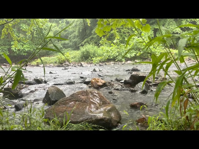 3 Hours - Continuous Rain and River Sounds and Scenery for Relaxation and Sleep (2021)