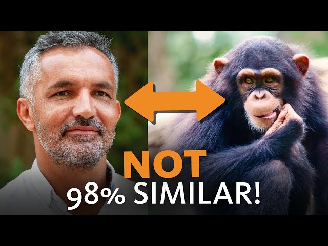 Evolutionists Changed Their Minds about Chimps and Humans?!