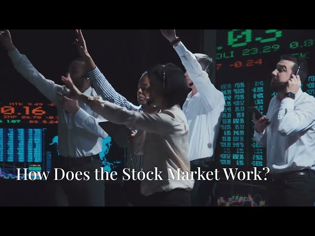 Stock Market Basics for Beginners | How to Get Started in 2025 #stockmarket #beginnerinvesting