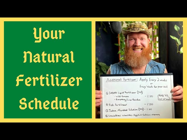 Best Schedule For HOMEMADE FERTILIZERS- Keeping It Simple and Effective