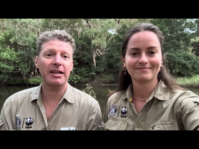 Happy World Rewilding Day from Royal National Park | WWF-Australia