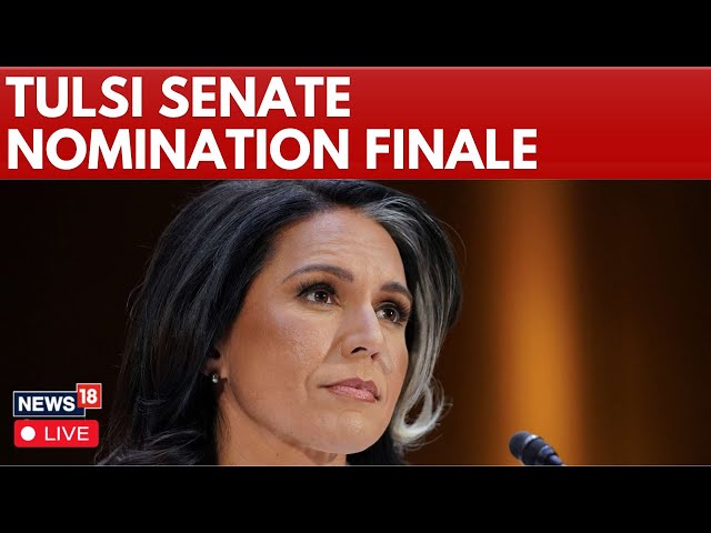 Tulsi Gabbard Confirmation Hearing LIVE | Tulsi Advances To Become Trump's Intelligence Chief | N18G