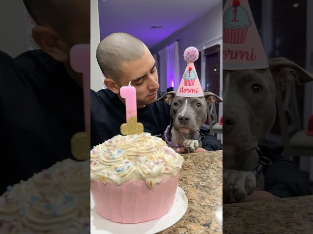 1st birthday 🥺 #birthday #thenandnow #puppy #transformation #shorts