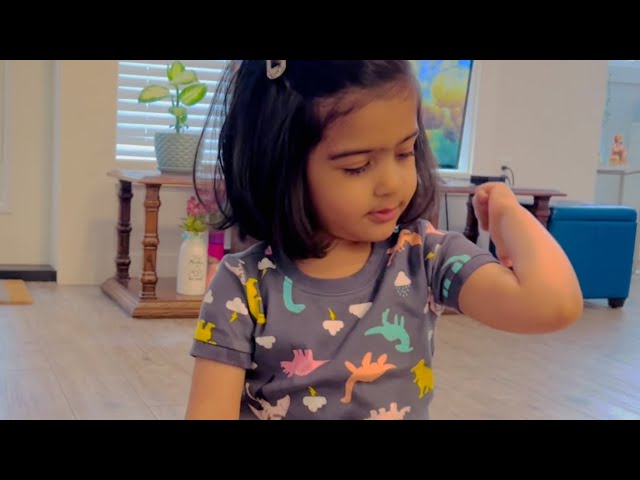 Wheels on the bus song | Allena's favourite | Toddler | Learning at home