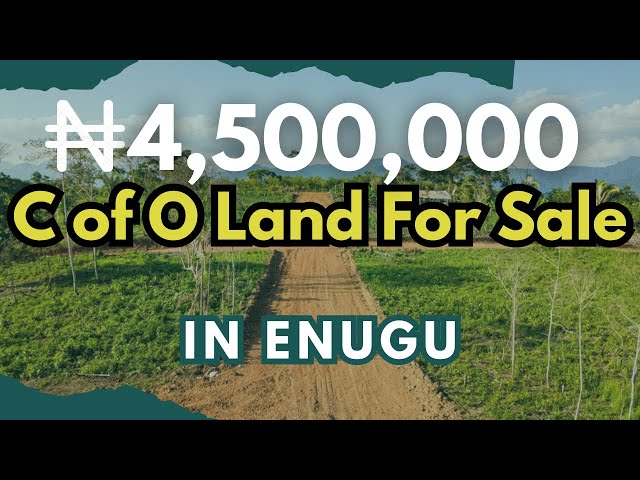 N4,500,000 C of O Land in Enugu- HUGE DISCOUNT ON! ||Cheap land for sale in Enugu |Realtor in Enugu