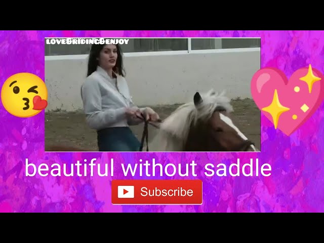 beautiful without saddle | #amazing #horse #equestrian #riding #funny