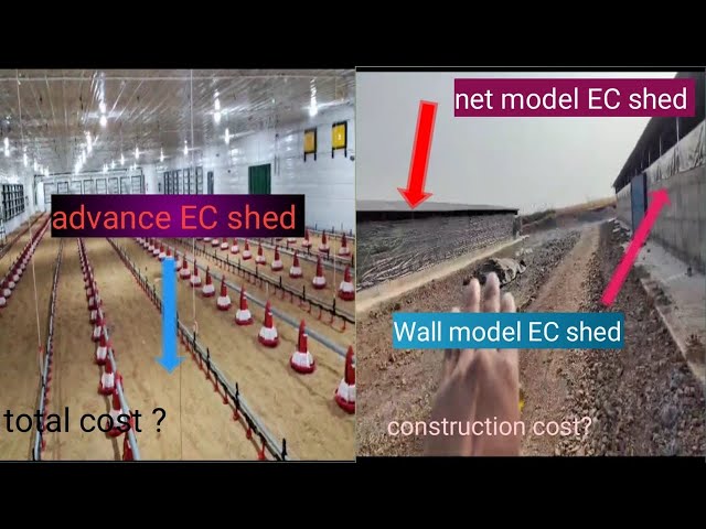 How to build advance Ec shed,wall model Ec shed,net model Ec shed ,with low cost construction