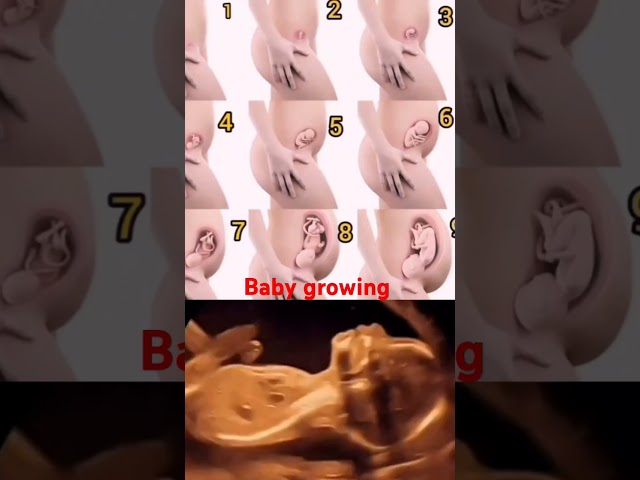 Healthy baby growth