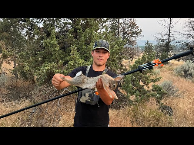 Blowgun Hunting Rabbits on a Mountain with the Cold Steel Blowgun!