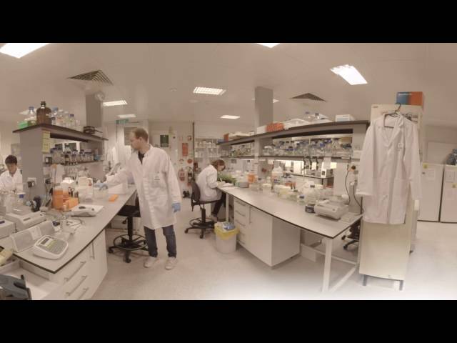 An afternoon in a Plant Energy Biology laboratory - Plant Energy Biology 360° video