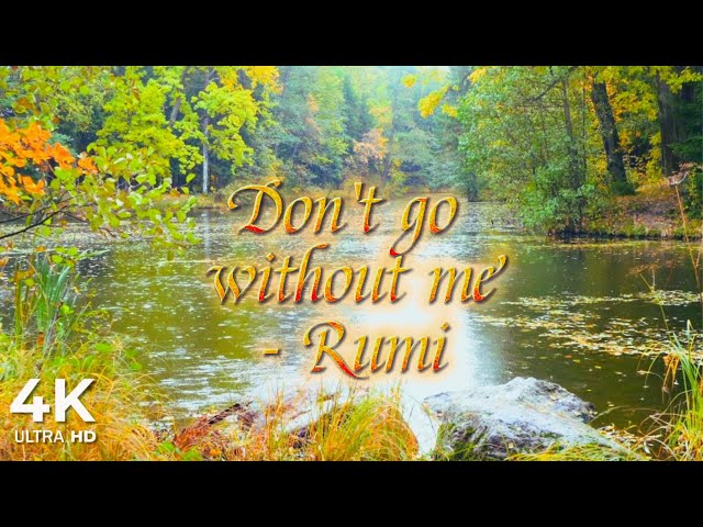 Tranquil Rain & Rumi’s Wisdom | Sitar & Tabla for Deep Relaxation