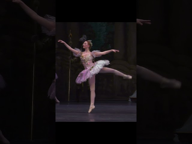 Houston Ballet | The Sleeping Beauty