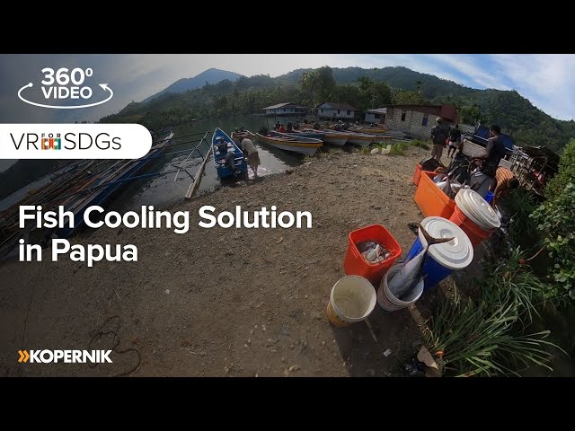 Fish Cooling Solution in Papua