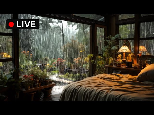 🔴HEAVY RAIN ON THE GARDEN For Sleeping - 99% Instantly Fall Asleep With Rain