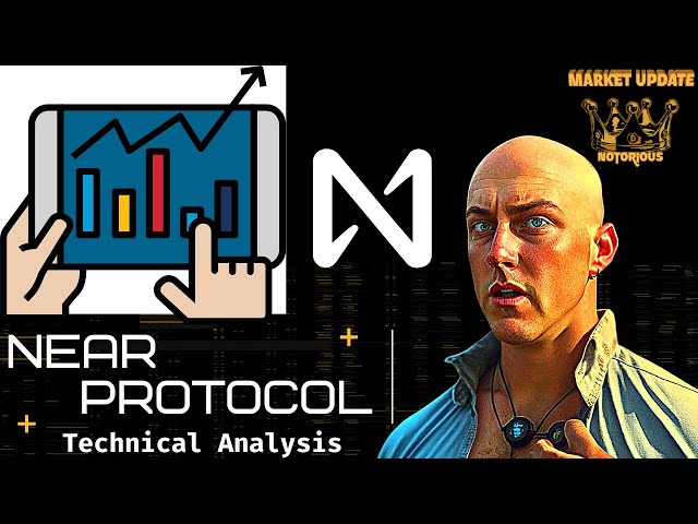 The RISE of Near Protocol: What You Need To Know