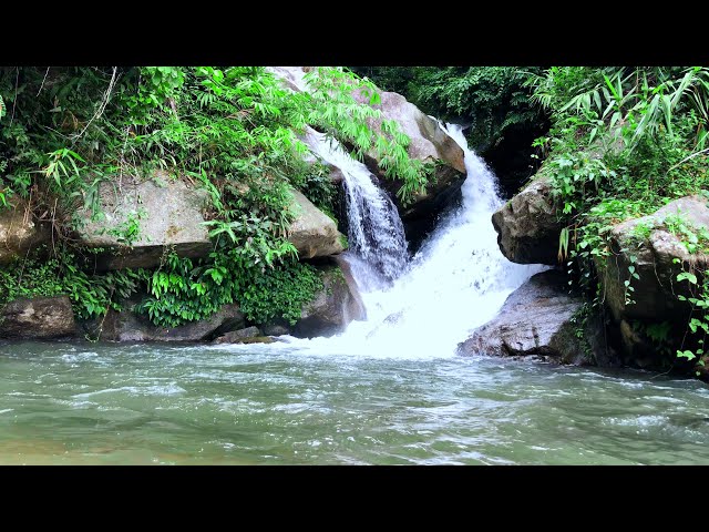 Peaceful Nature - Beautiful Waterfall, Gentle Water Sound, Melodious Birdsong, Gentle Nature 💧🐦