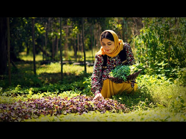 Cooking Ghormeh Sabzi, the Most Popular Iranian Stew | Rural Cuisine