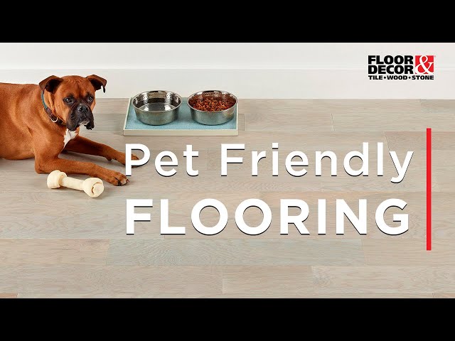 Pet Friendly Flooring