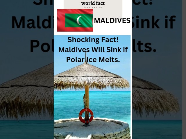 Shocking Fact :  Maldives Will Sink If Polar Ice Melts.#interestingfact #worldfact #maldives