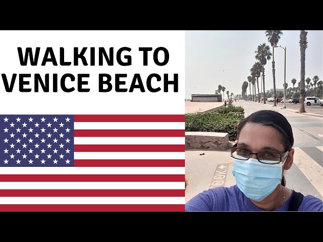 Santa Monica pier to Venice beach walk