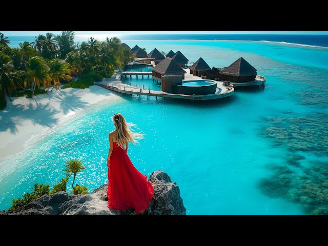 Chill House 24/7 Live Stream 💖 2025 Tropical Vibes Playlist