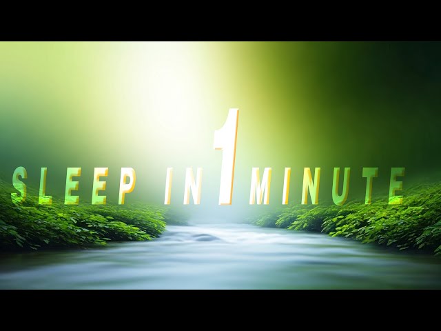 Sleep Sounds: Gentle Stream & Forest Ambience