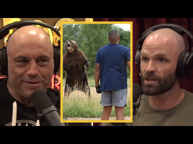 JRE: Grizzly Bear Encounters!