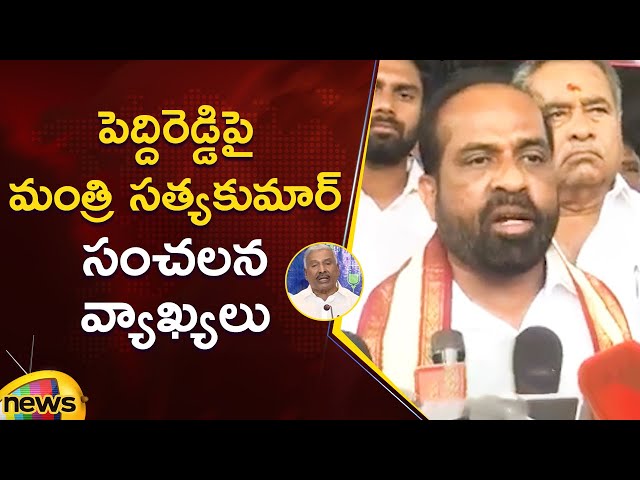 Minister Satya Kumar Yadav Sensational Comments On Peddireddy Ramachandra Reddy | AP Politics