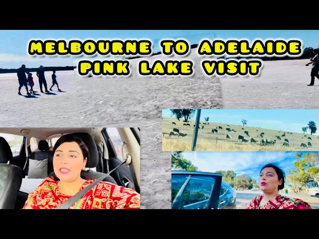 Melbourne to Adelaide Epic Road Trip | Pink Lake Visit | 800 Kms Journey to Adelaide | Vlog # 2