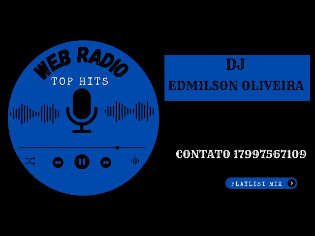 WEB RADIO TOP HITS /PLAY MIX