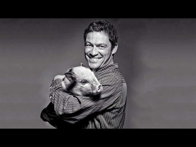 Dominic West: Don't fund the torture of animals