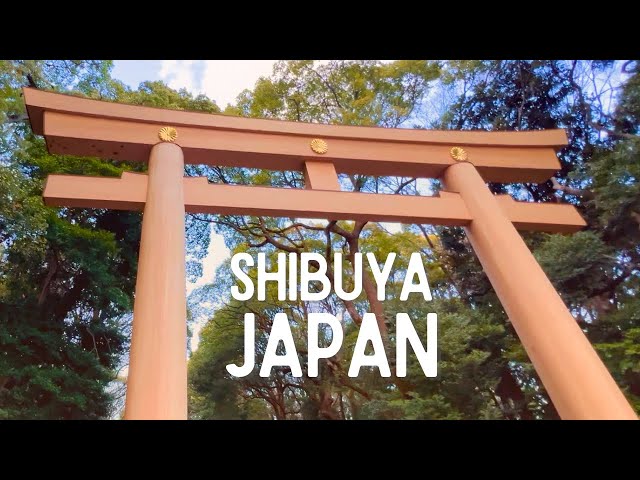 Shibuya Tokyo Vlog | Meiji Shrine, Shibuya Crossing, Gashapon, Café coffee & cherry blossoms