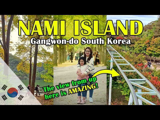 See EVERYTHING Nami Island Has To Offer! 🇰🇷 South Korea Travel Vlog & Walking Tour