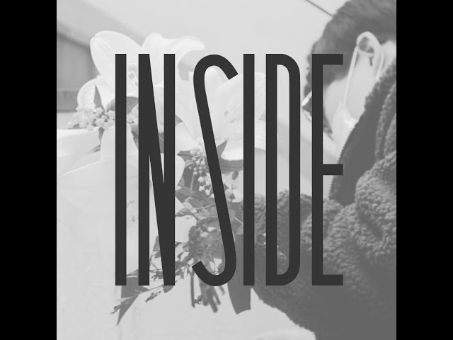 INSIDE, Painter BSH (subtitle)