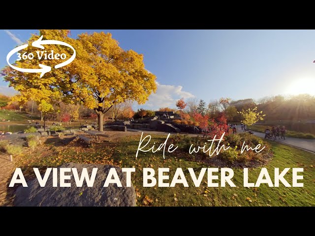 A Live View From Beaver Lake, Mount Royal in the fall | 360 Montreal Quebec | Autumn 2020