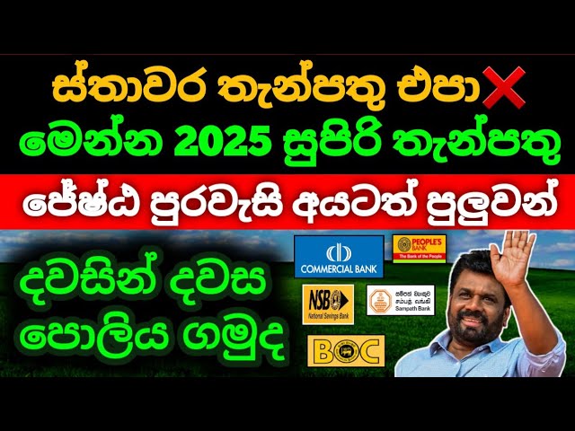 🇱🇰ස්තාවර තැන්පතු කැලේ |Fixed deposit rates in sri lanka |sampath commercial bank money market 2025