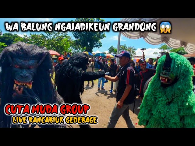 REAK PEMANGKATAN WA BALUNG NGAJADIKEUN GRANDONG ‼️ CUTA MUDA GROUP LIVE RANCABIUK