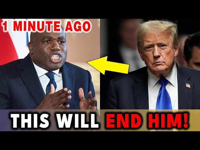 David Lammy BENDS THE KNEE to Trump After Past Comment